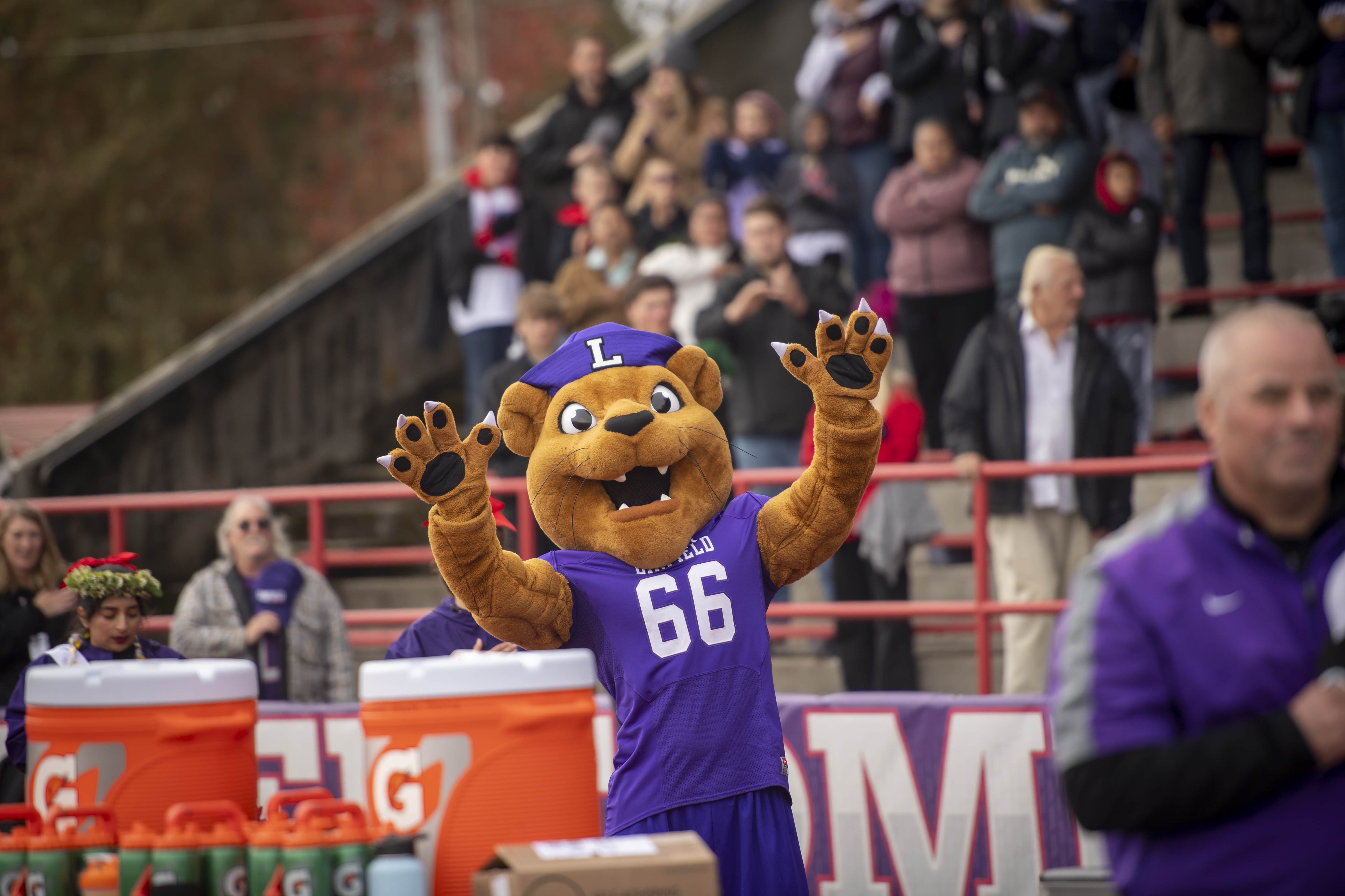 Mack the Wildcat celebrating at a football game